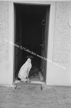 DOG AT DOOR OF HOUSE
